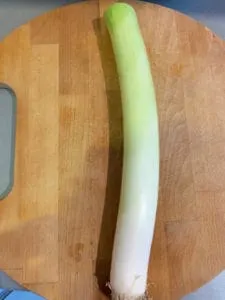 A picture of a Leek with the leaves trimmed off
