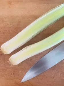 A picture of a leek cut in half