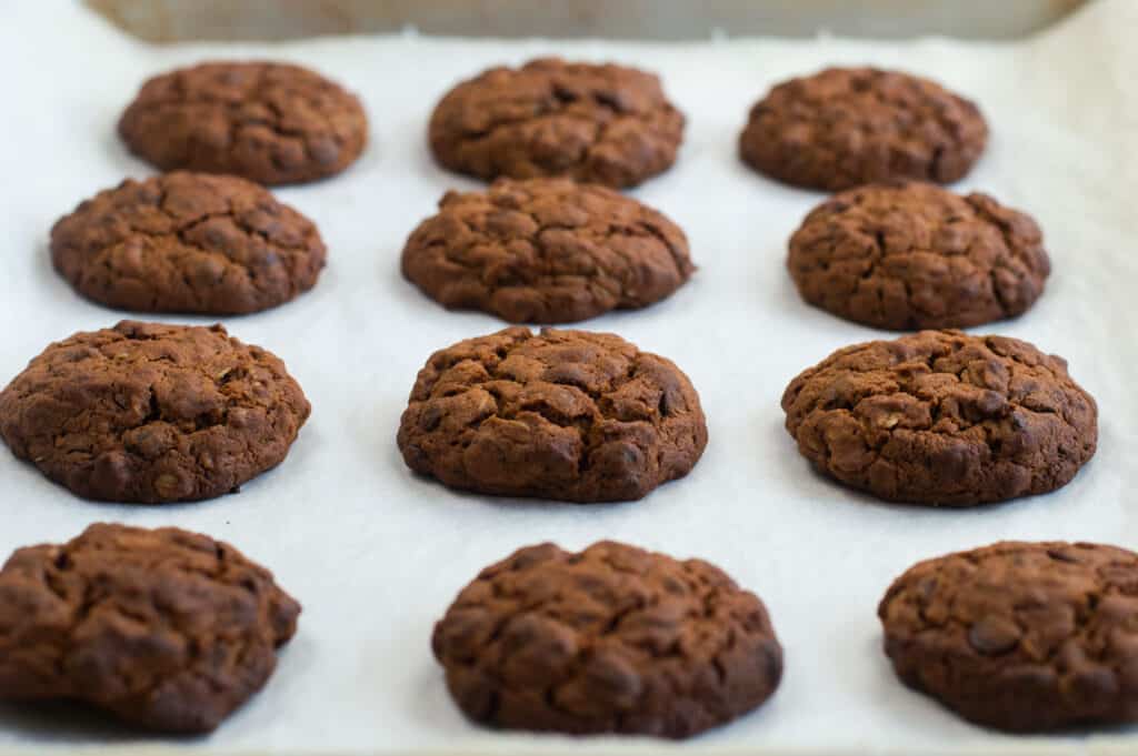 Baked vegan chocolate chip oatmeal cookies cooked on a baking tray