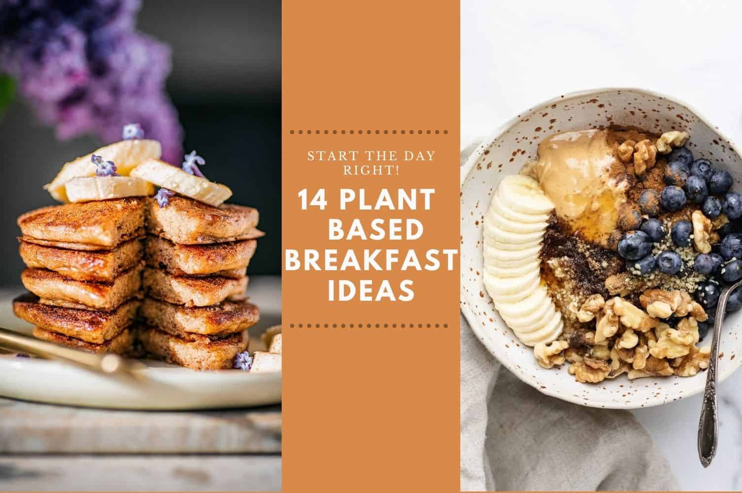 Plant based breakfast ideas cover photo