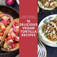 16 vegan tortilla recipes with vegan tortillas in the background