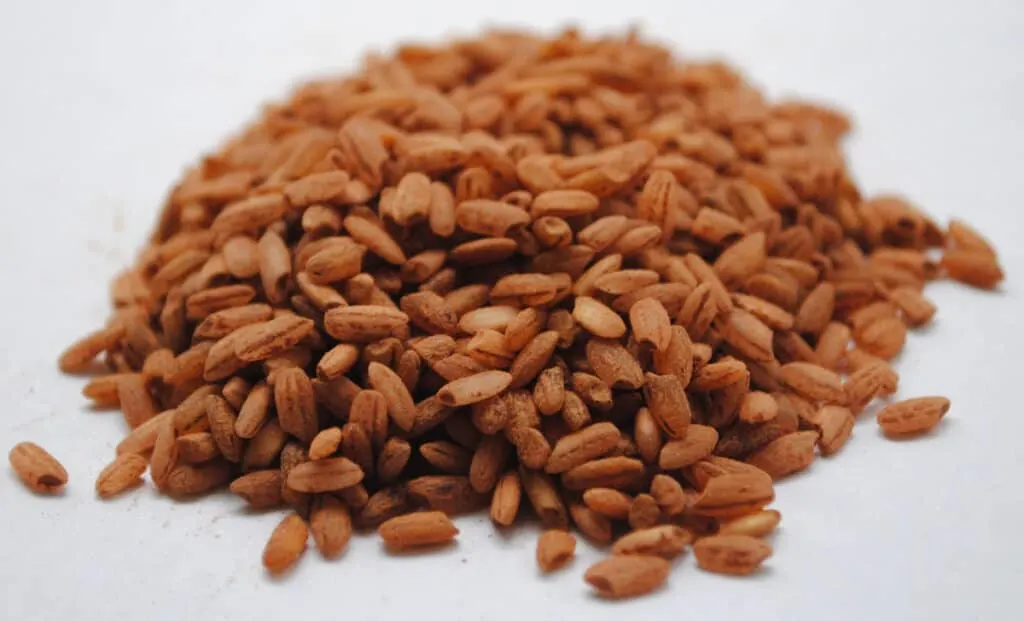 Red rice grains on a white background