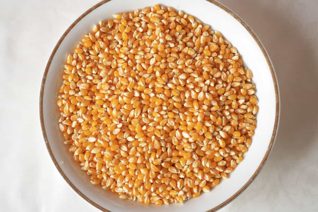 Corn kernels in a white bowl