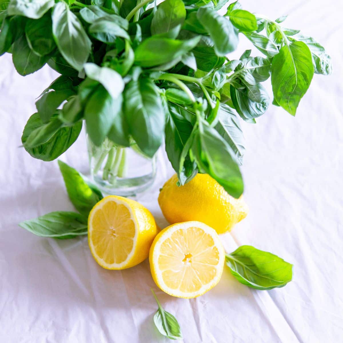 Lemon with basil in the background