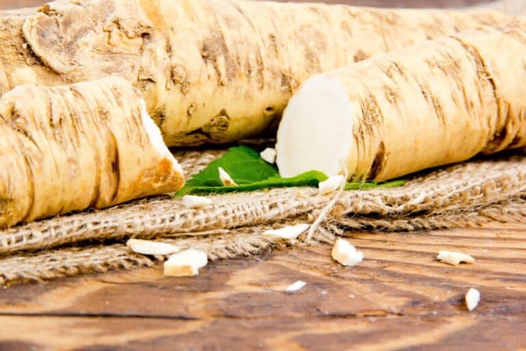 Horseradish root on a wooden table.