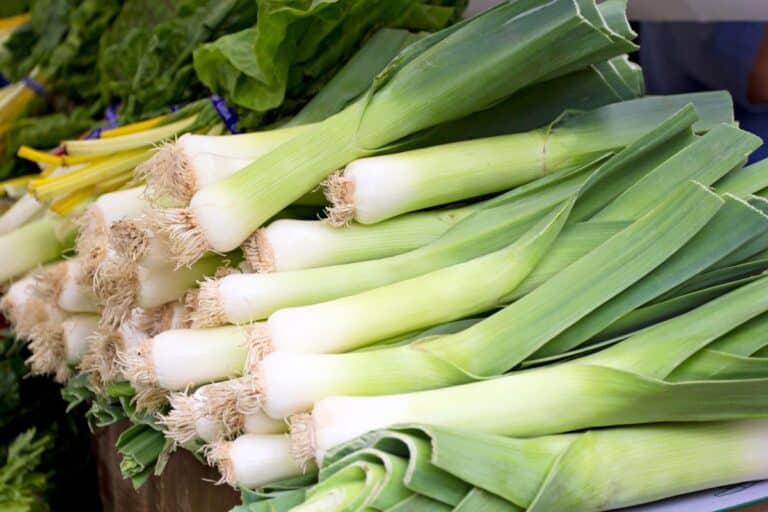 A large pile of leeks in a vegetable market.