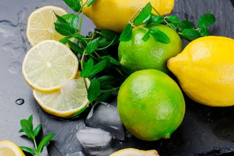 Limes and lemons on a countertop.